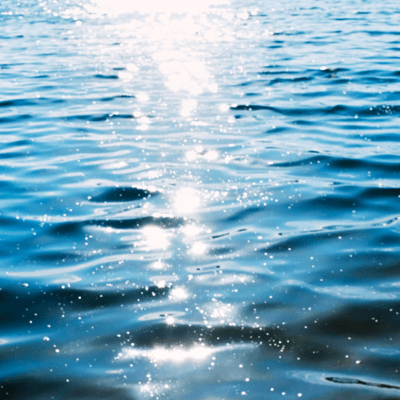 WAVES Front Cover