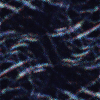 BLACK PHENOMENA Front Cover