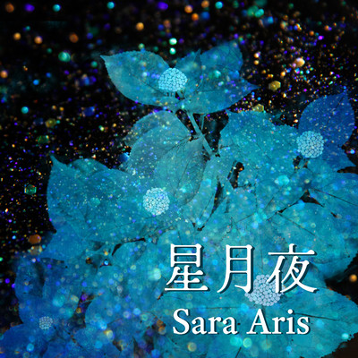 星月夜のジャケット写真