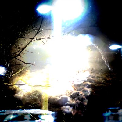 Flowers of Lysithea Front Cover