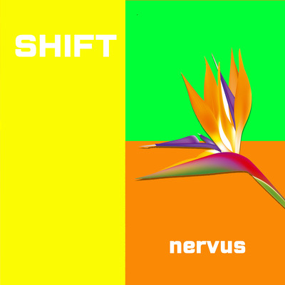 nervus Front Cover