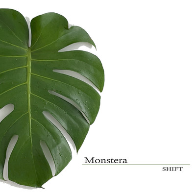 MONSTERA Front Cover