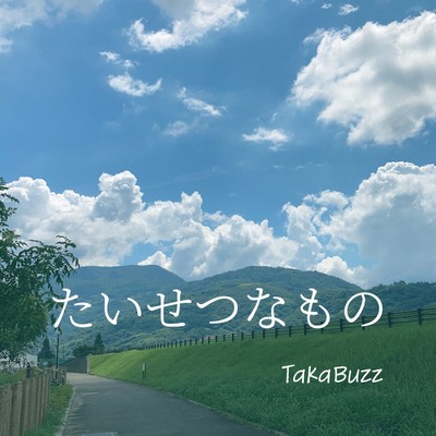 たいせつなもののジャケット写真