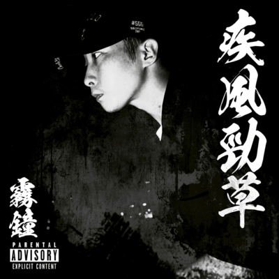 white-spotted woodpecker Front Cover