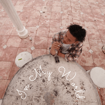 In my world Front Cover