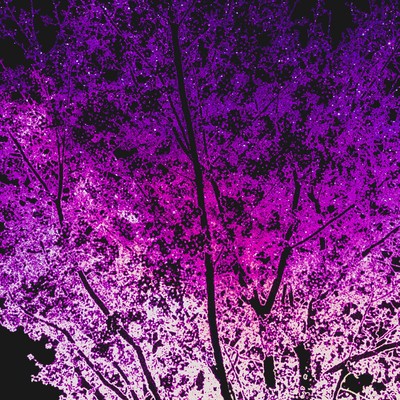 霞みゆく光のジャケット写真