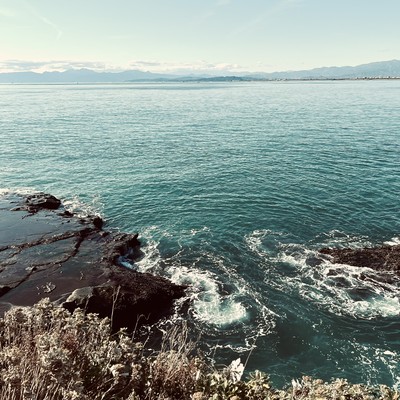 夏に運ばれてのジャケット写真