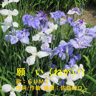 願いのジャケット写真