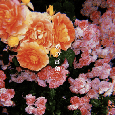 Words of Love Front Cover