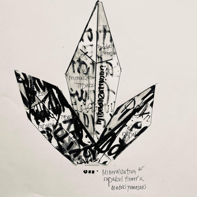 Mineralization Front Cover