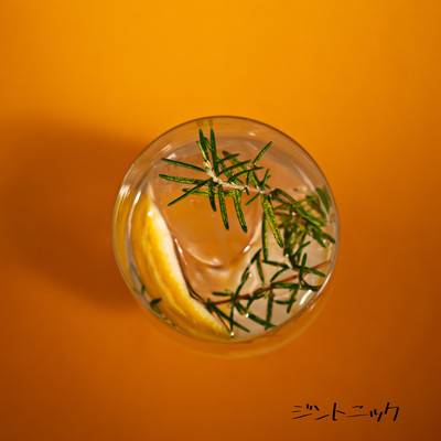 Gin Tonic Front Cover