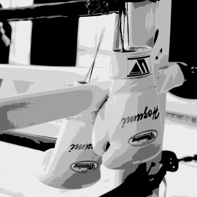 夢の途中のジャケット写真