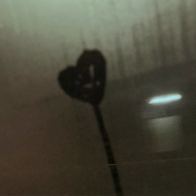 last lieのジャケット写真