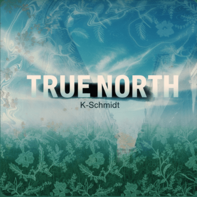 True North Front Cover