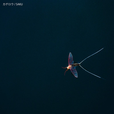 カゲロウのジャケット写真