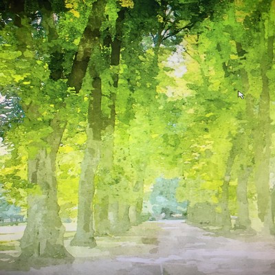 Komorebi Front Cover