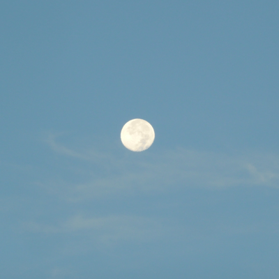 Twilight Eveningのジャケット写真