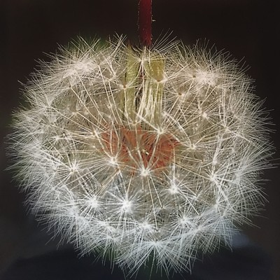 線香花火のジャケット写真