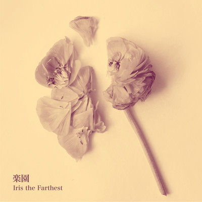 Paradise Front Cover