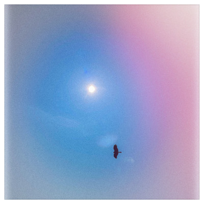 Fly Front Cover