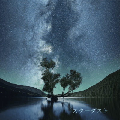 star dust Front Cover