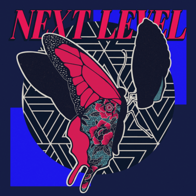 NEXT LEVELのジャケット写真