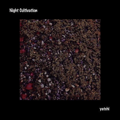 Night Cultivation Front Cover