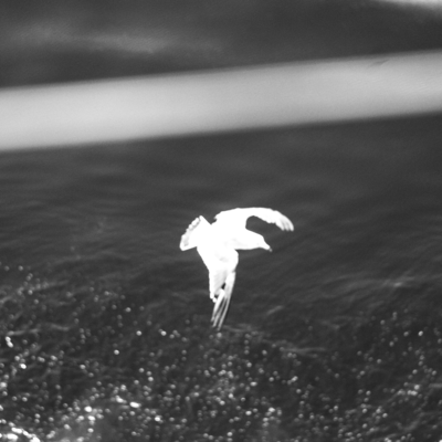 Melo Flow Front Cover