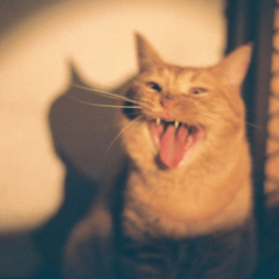 All For You Front Cover