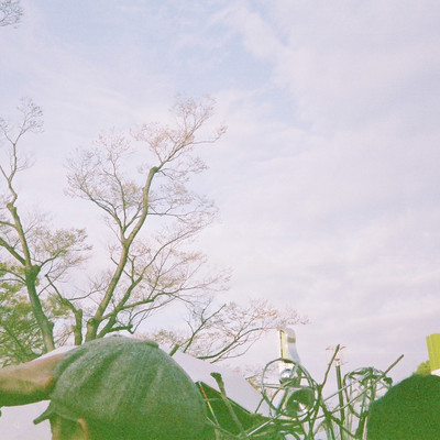 karakusa Front Cover