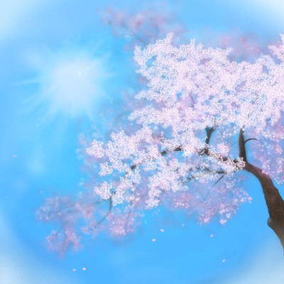 SAKURA Front Cover