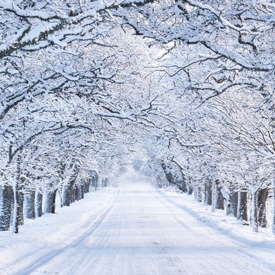 Long Way (feat. ASAMI IMAI) Front Cover