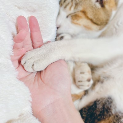 命の終わりがみえたならのジャケット写真