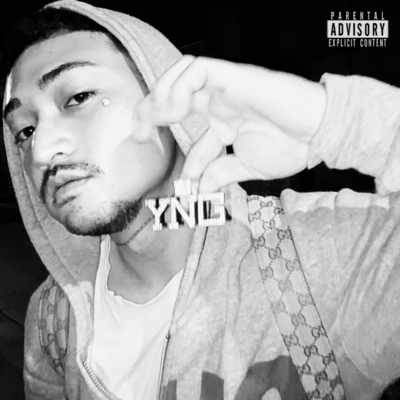 Timber Freestyle Front Cover