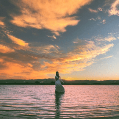 twilight Front Cover