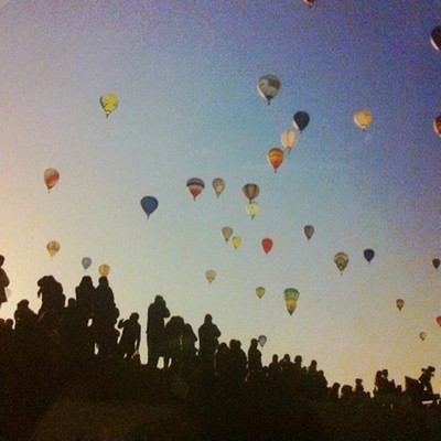 White Petal Front Cover