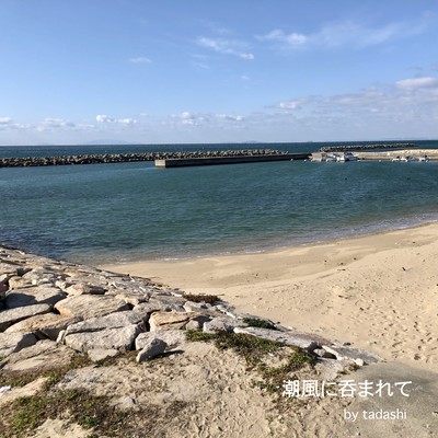 in the sea Front Cover