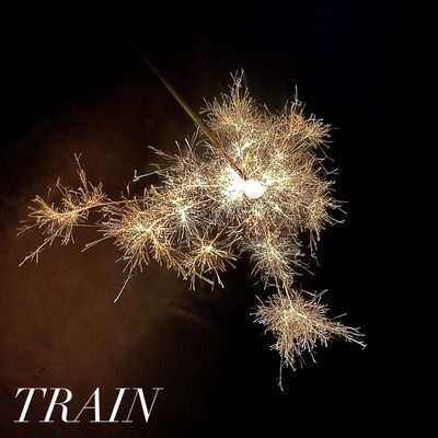 TRAINのジャケット写真