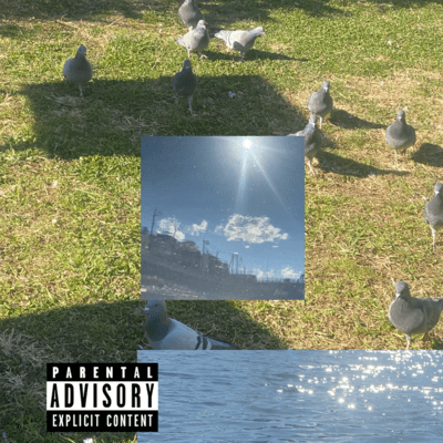 Idea are gathering dust Front Cover