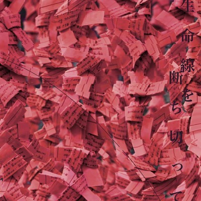 seimeisenwotatikitte Front Cover