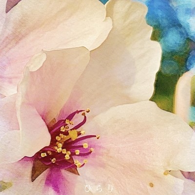 ひらりのジャケット写真