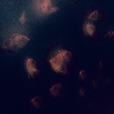 strange love Front Cover