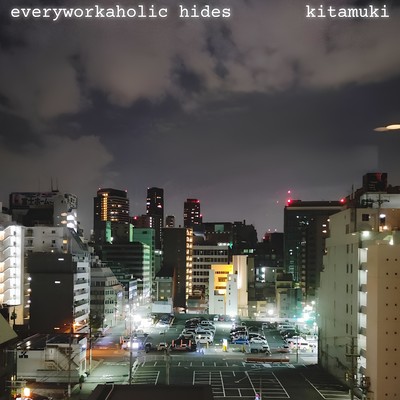 Everyworkaholic Hides Front Cover