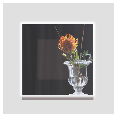 IN BLOOMのジャケット写真