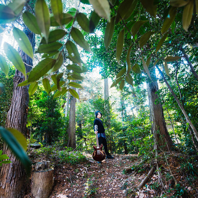 journeyのジャケット写真