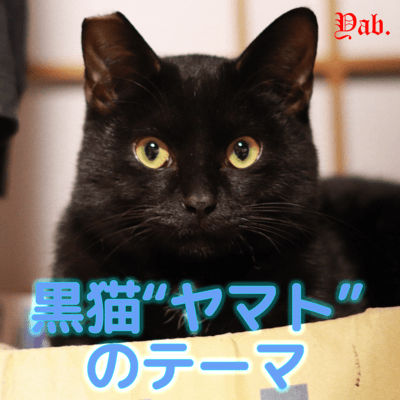 Theme for my beloved cat "Yamato" Front Cover