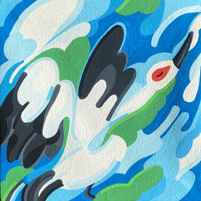 Stork / Cegonha Front Cover