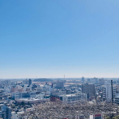 雪那のジャケット写真