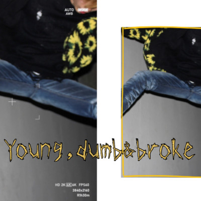 Young, dumb&broke Front Cover