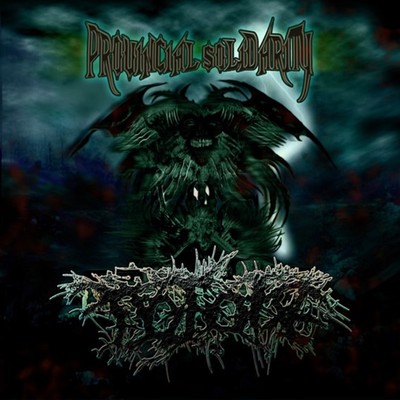 PROVINCIAL SOLIDARITY Front Cover